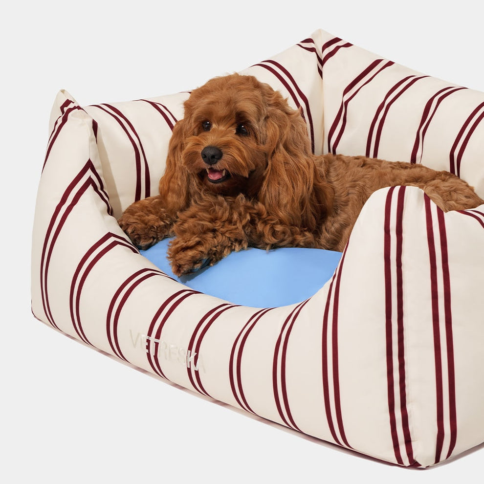 Mist and Merlot Pet Sofa - Cream & Stripes