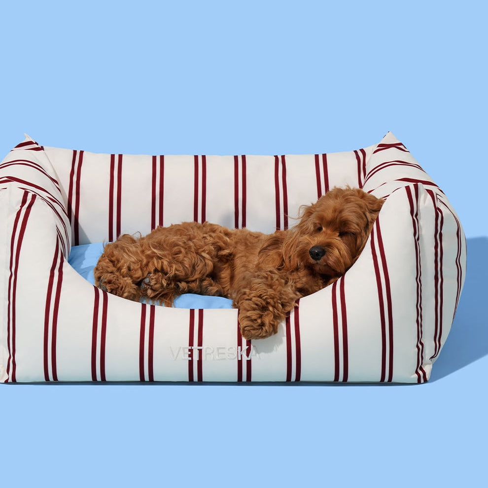 Mist and Merlot Pet Sofa - Cream & Stripes