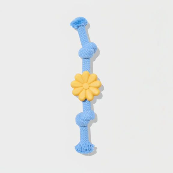 Playful Charm Knot Rope Toy