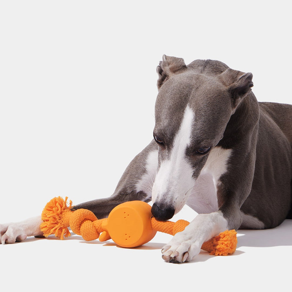 Playful Charm Knot Rope Toy