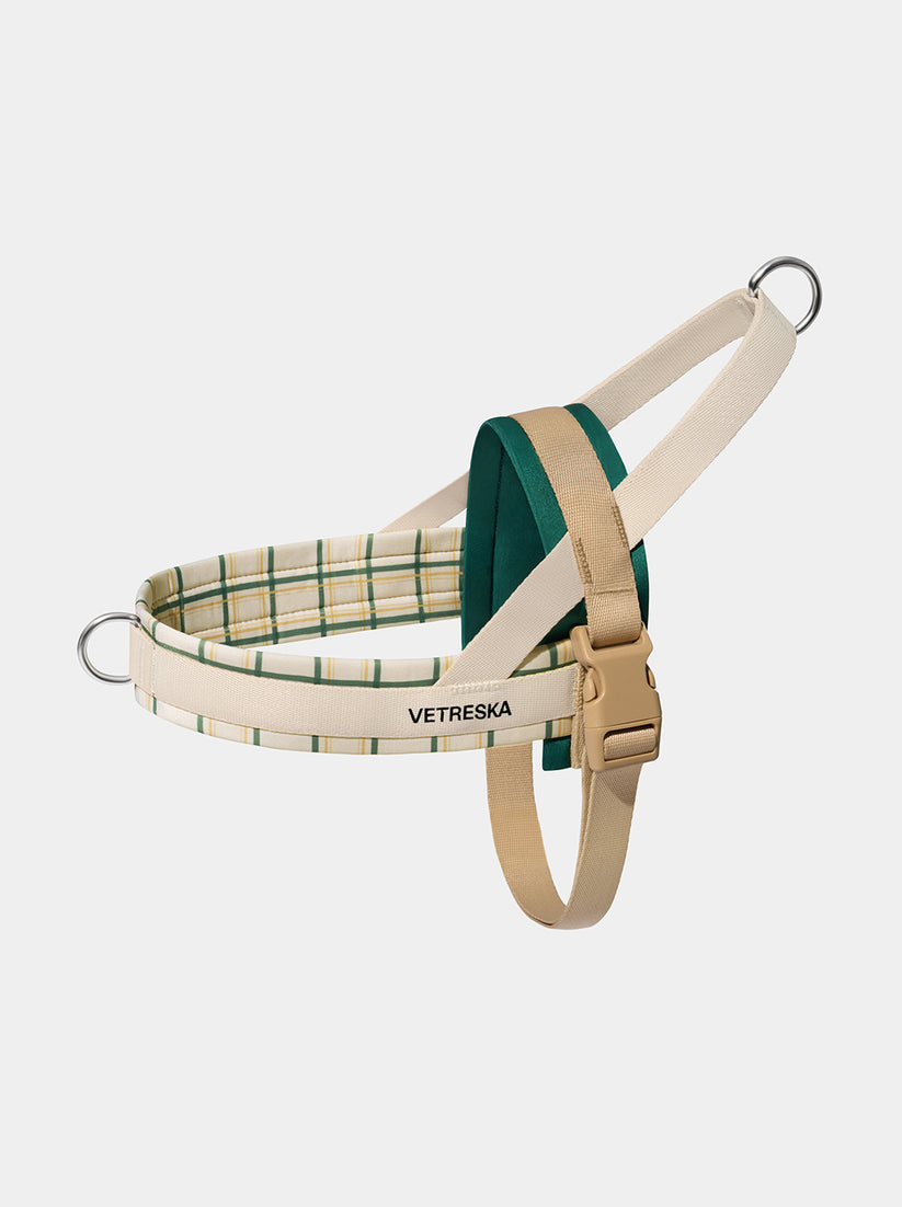 Santal Forest Quick Fit Pet Harness & Leash Set