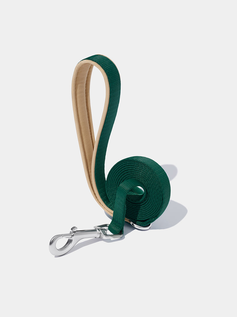 Santal Forest Quick Fit Pet Harness & Leash Set