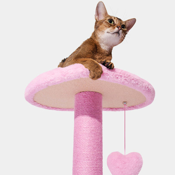 Heartpurrink Cat Climber (2 Platform)