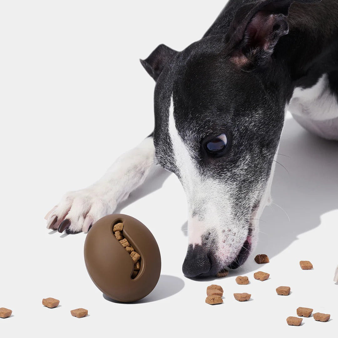 Coffee Pet Feeder Toy