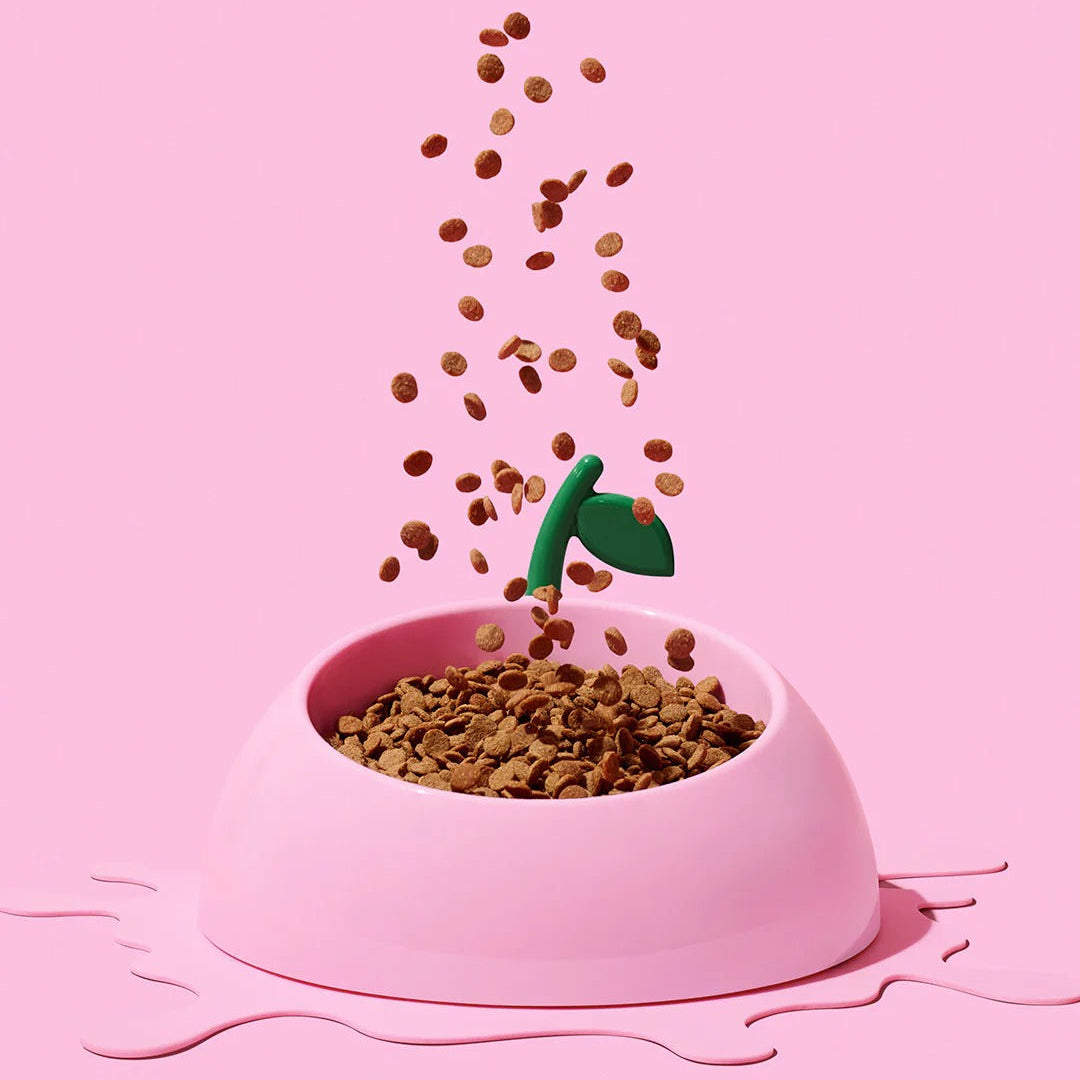 Juicy Peach Pet Bowl, Spoon & Mat Set