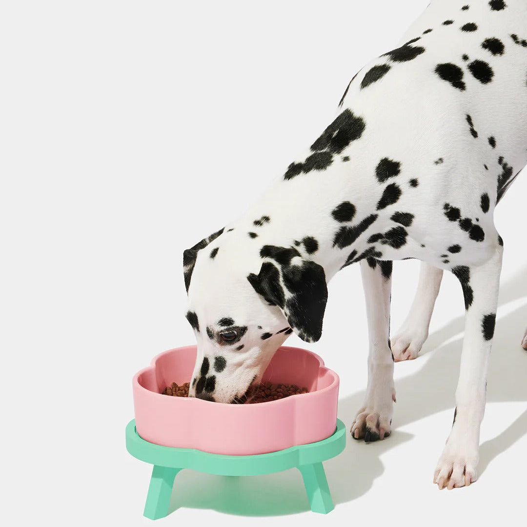 Flora Ceramic Pet Bowl