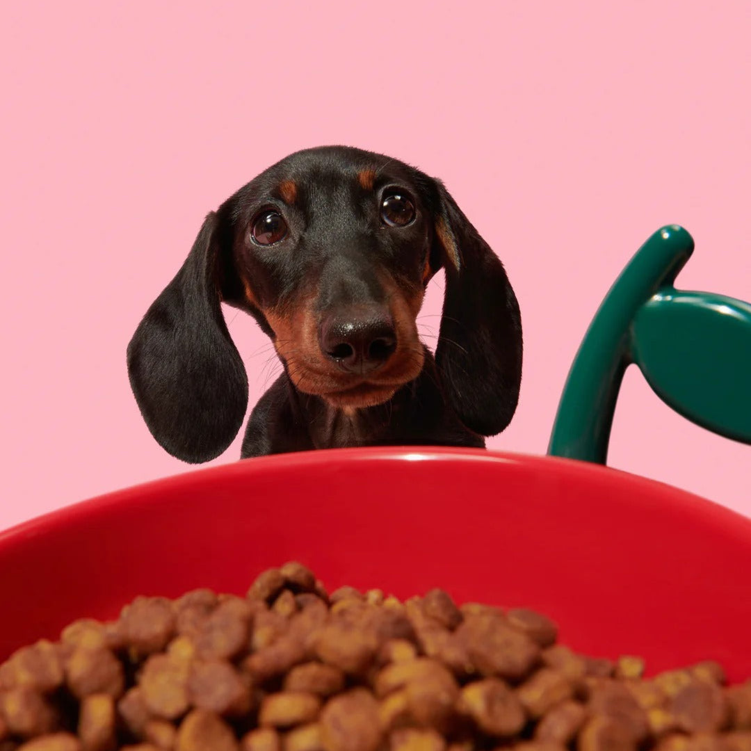 Juicy Cherry Pet Bowl Spoon & Mat Set