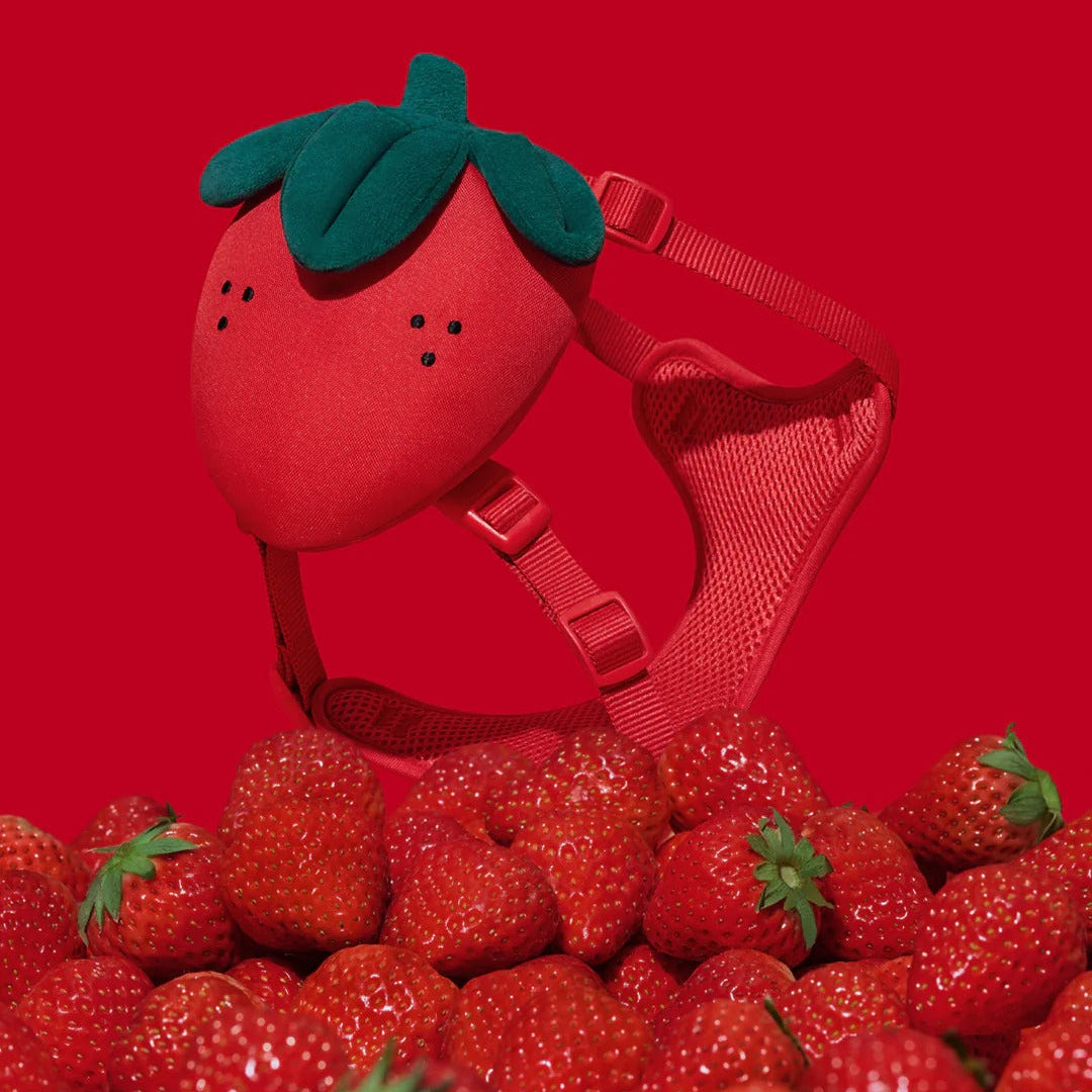 Strawberry Pet Backpack Harness & Leash