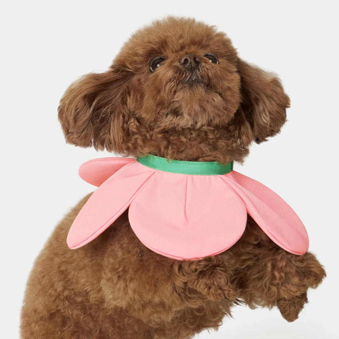 Flora Pet Bib