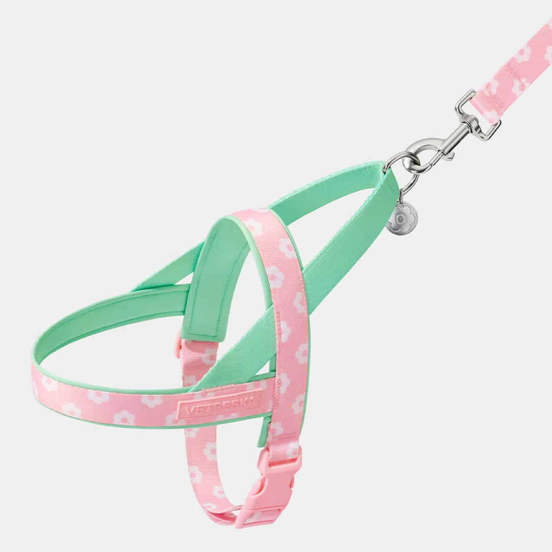 Flora Pet Harness & Leash Set