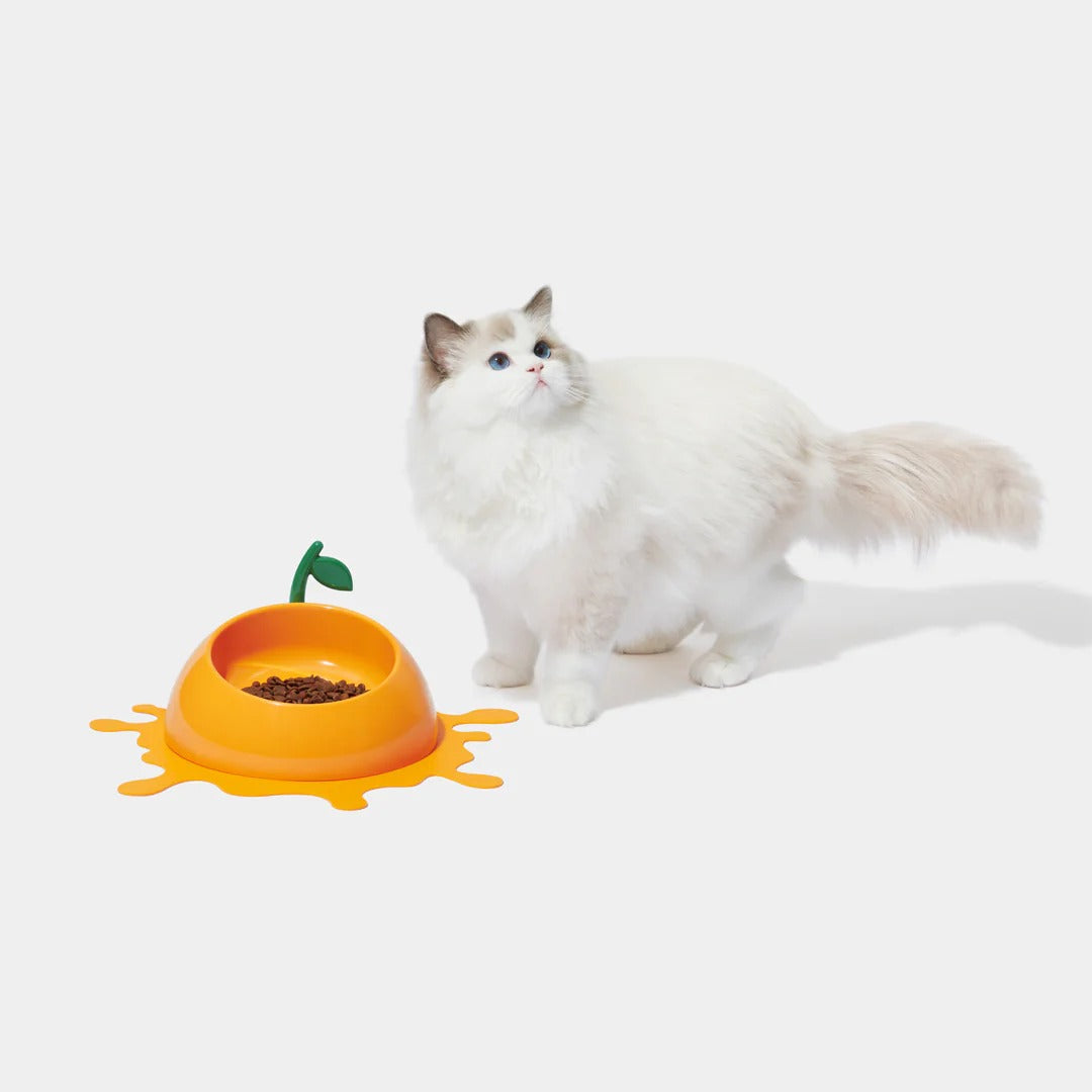 Juicy Tangerine Pet Bowl Spoon & Mat Set