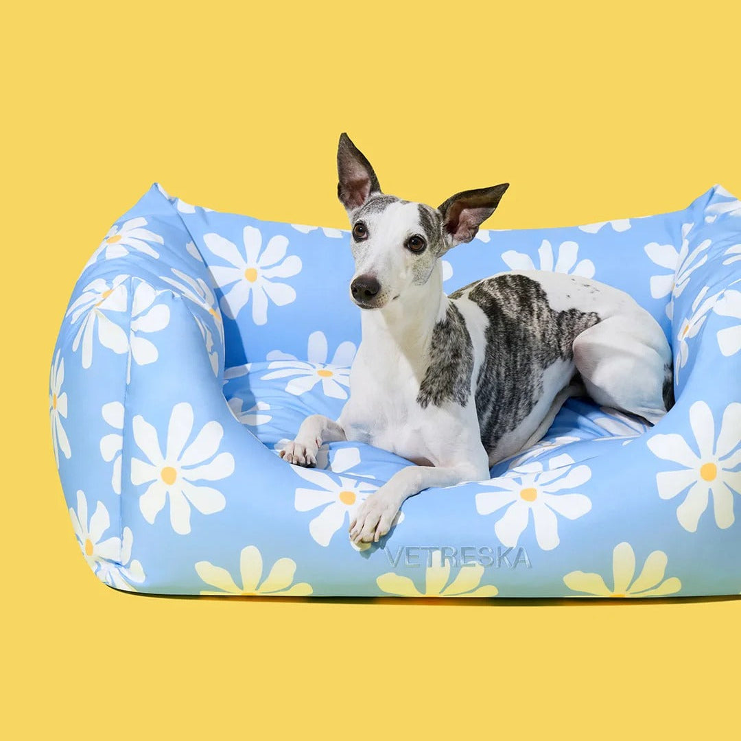Daisy Pet Sofa
