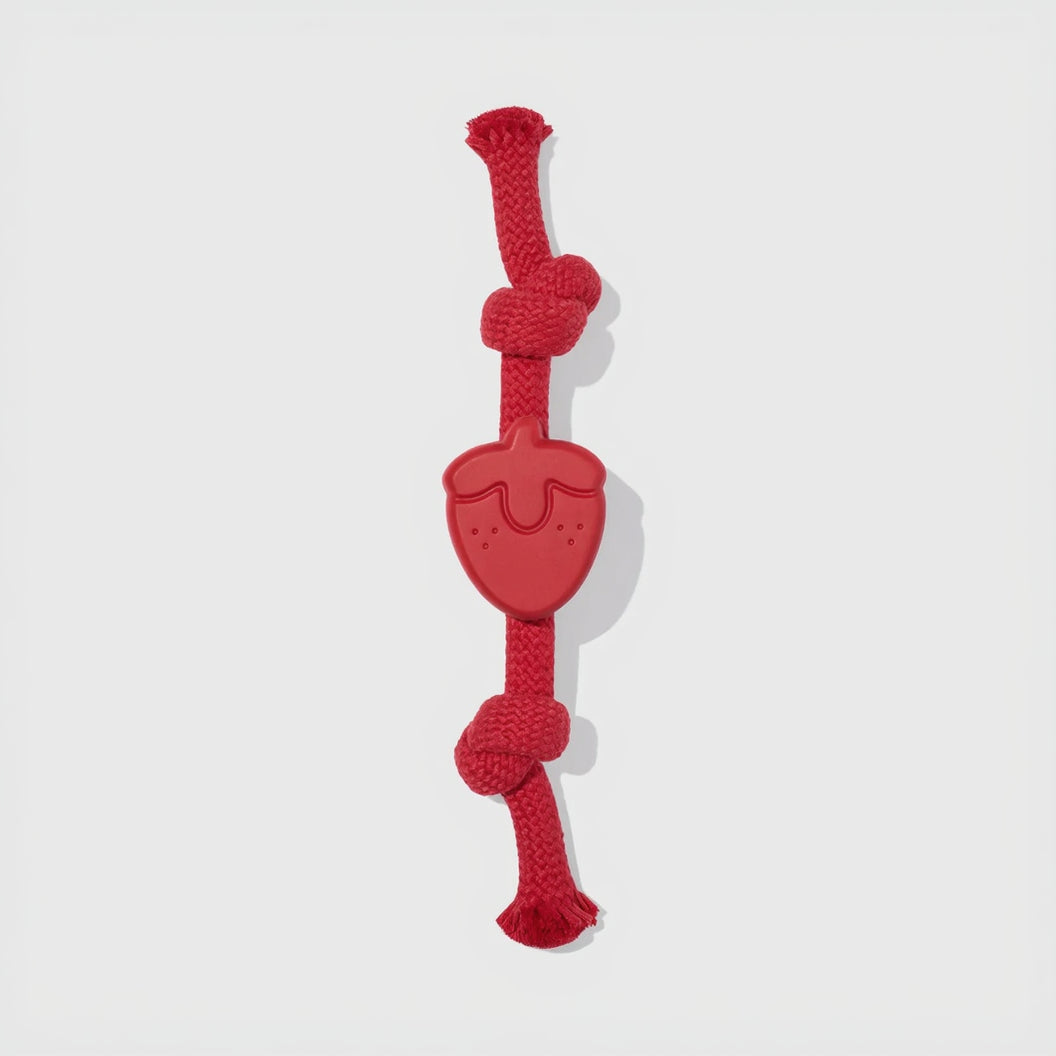 Playful Charm Knot Rope Toy