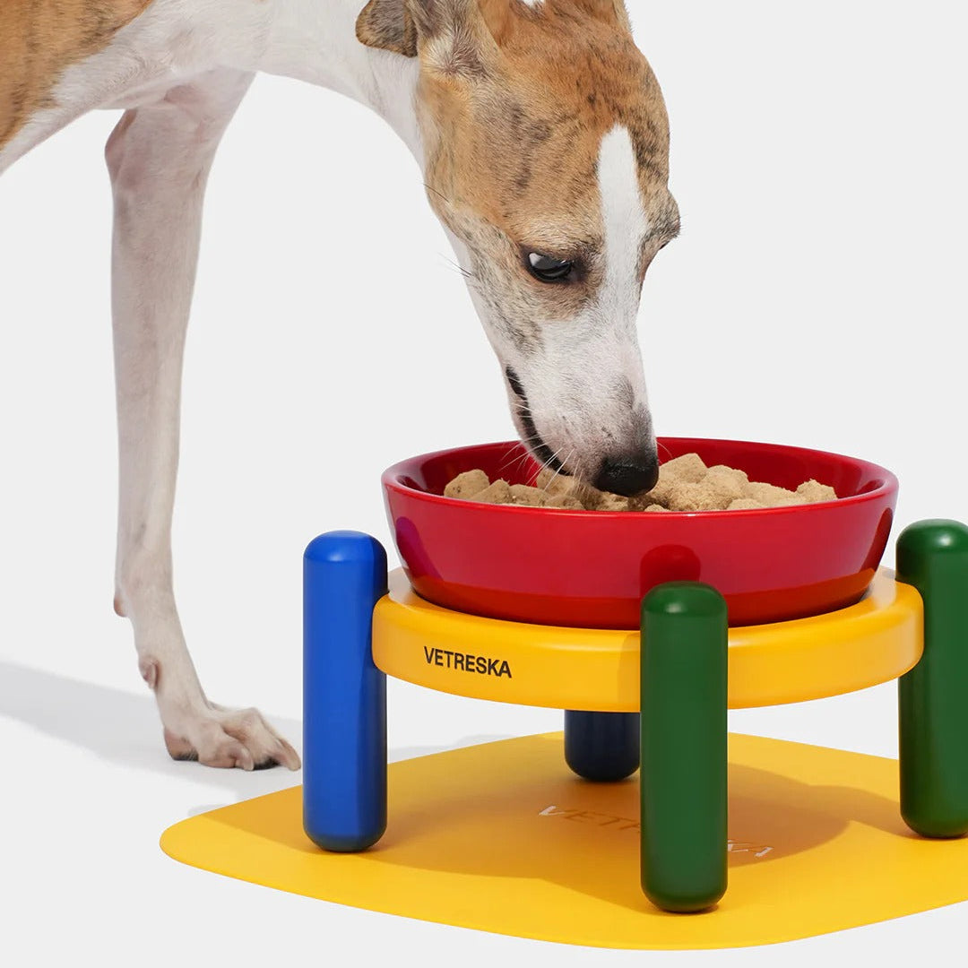 Chroma Pet Bowl & Mat Set