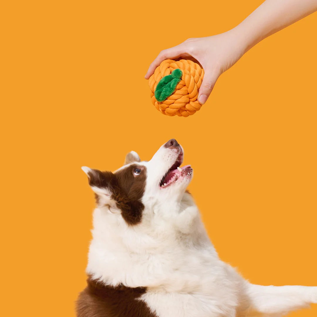 Tangerine Knot Rope Toy