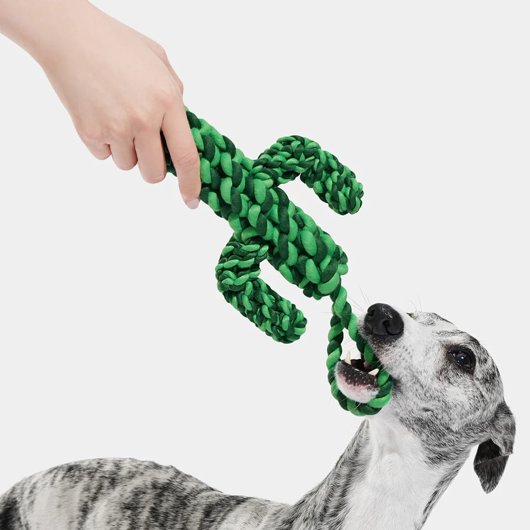Oasis Cactus Knot Rope Toy