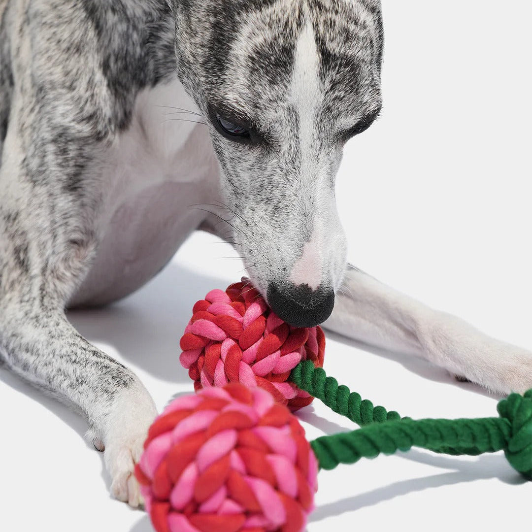 Cherry Knot Rope Toy