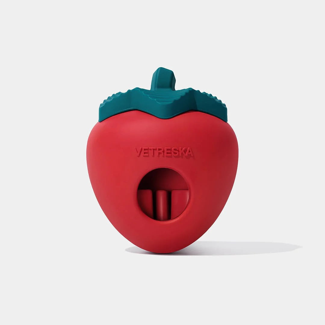 Strawberry Pet Treat Dispensing Toy