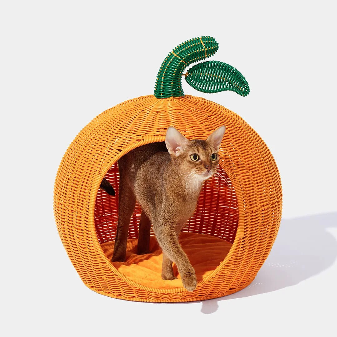 Tangerine Rattan Pet Bed