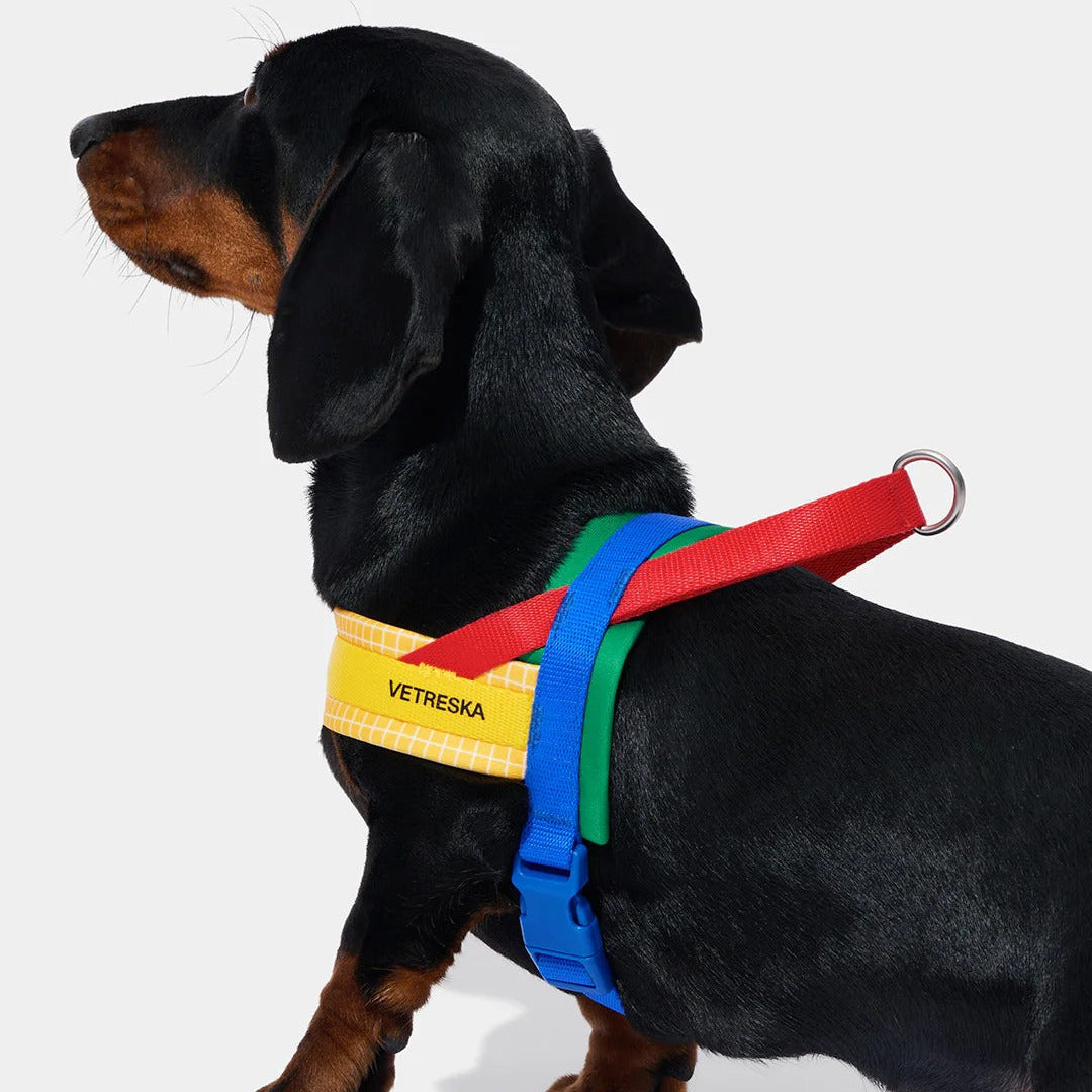 Chroma Pet Harness & Leash Set (Yellow)