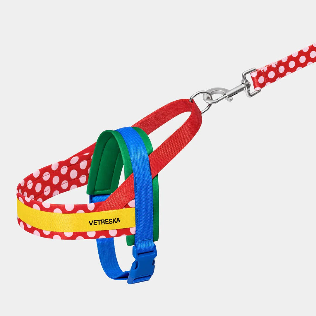 Chroma Pet Harness & Leash Set (Red)