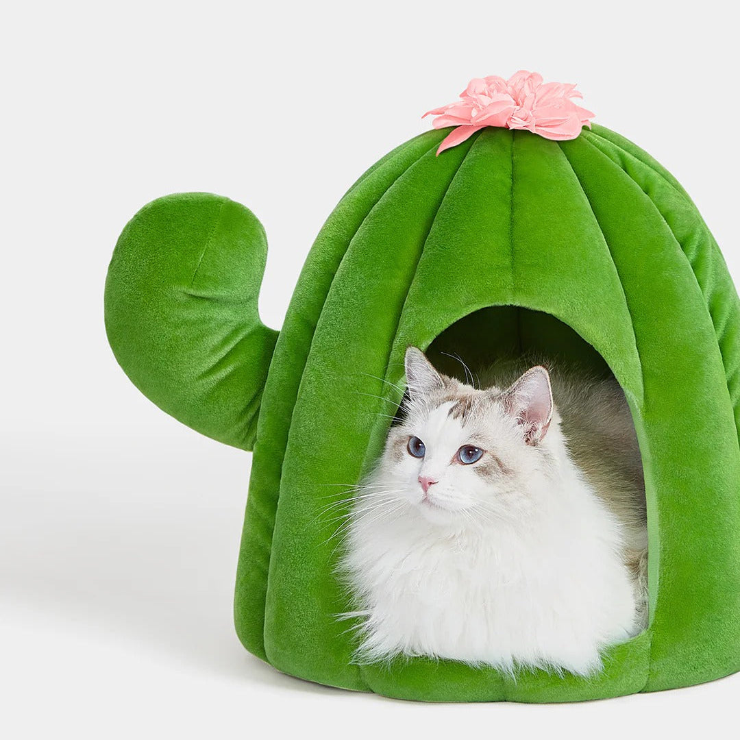 Oasis Cactus Pet Bed