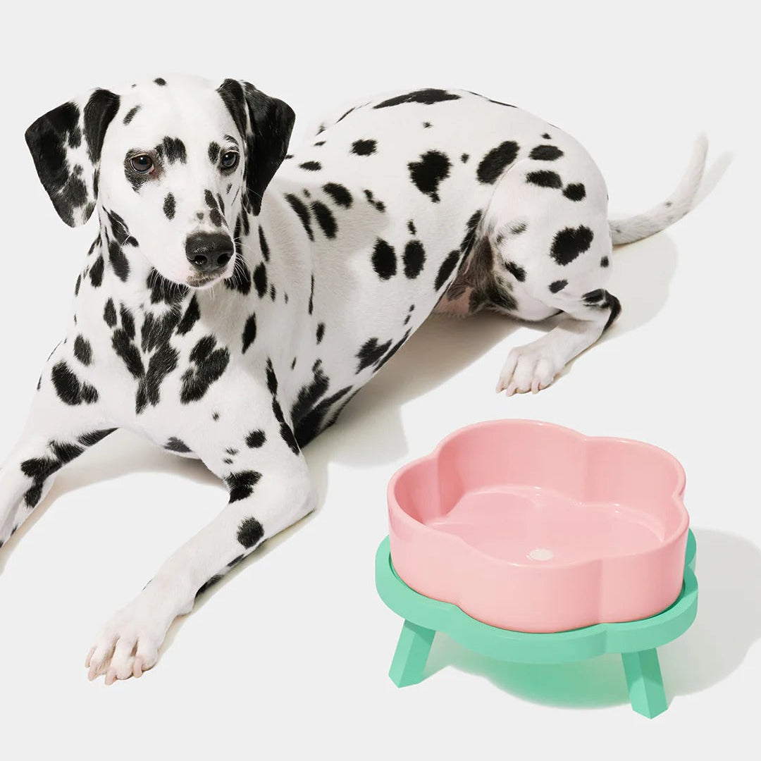 Flora Ceramic Pet Bowl