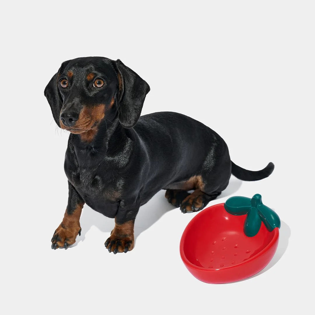 Strawberry Ceramic Pet Bowl