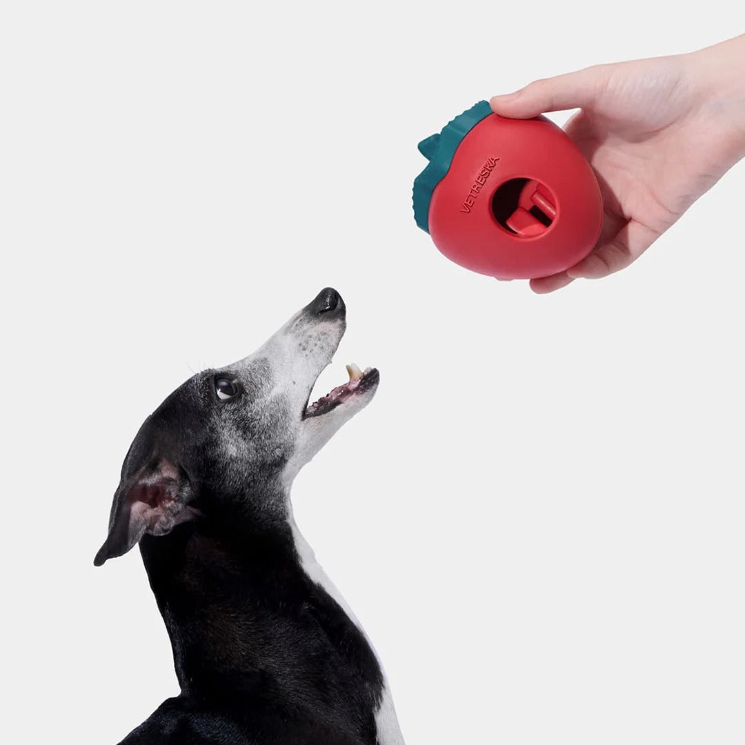 Strawberry Pet Treat Dispensing Toy
