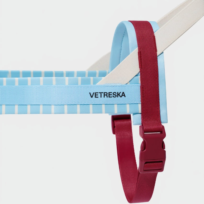 Mist and Merlot Pet Harness & Leash Set