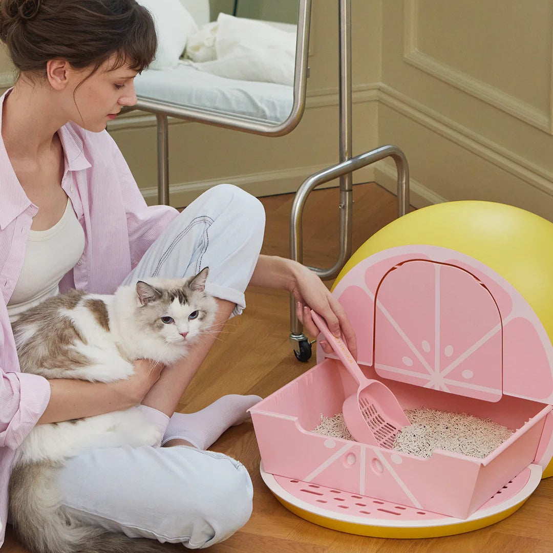 Grapefruit Kitty Kove