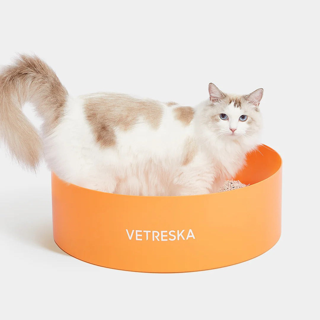 Tangerine Cat Litter Box