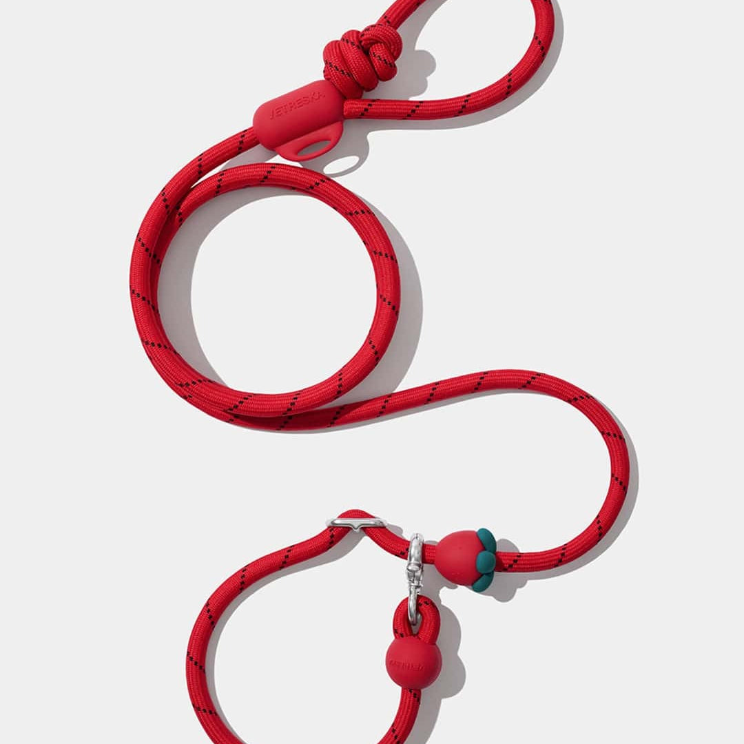 Connect Multifunction Hands-Free Rope Leash For Pets