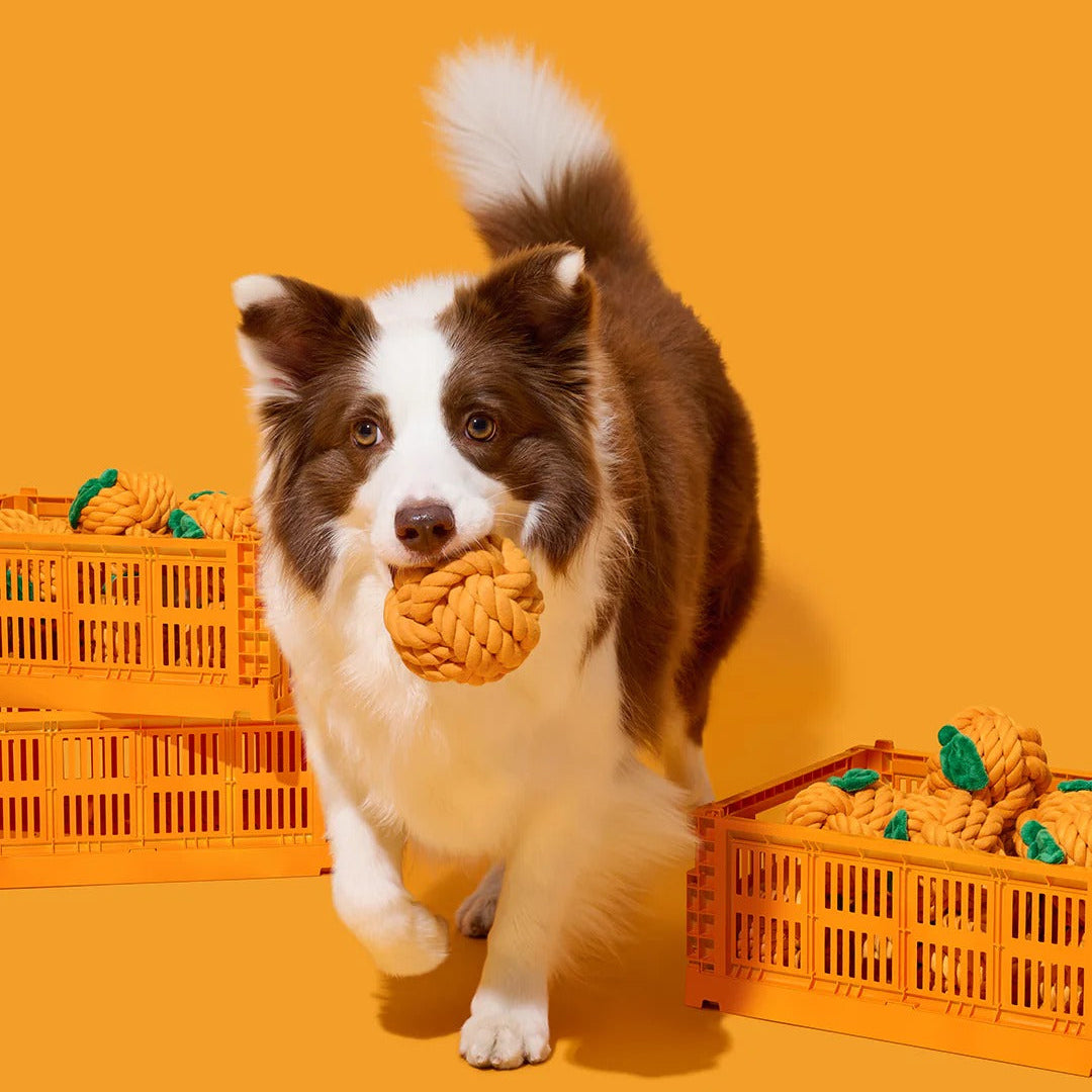 Tangerine Knot Rope Toy