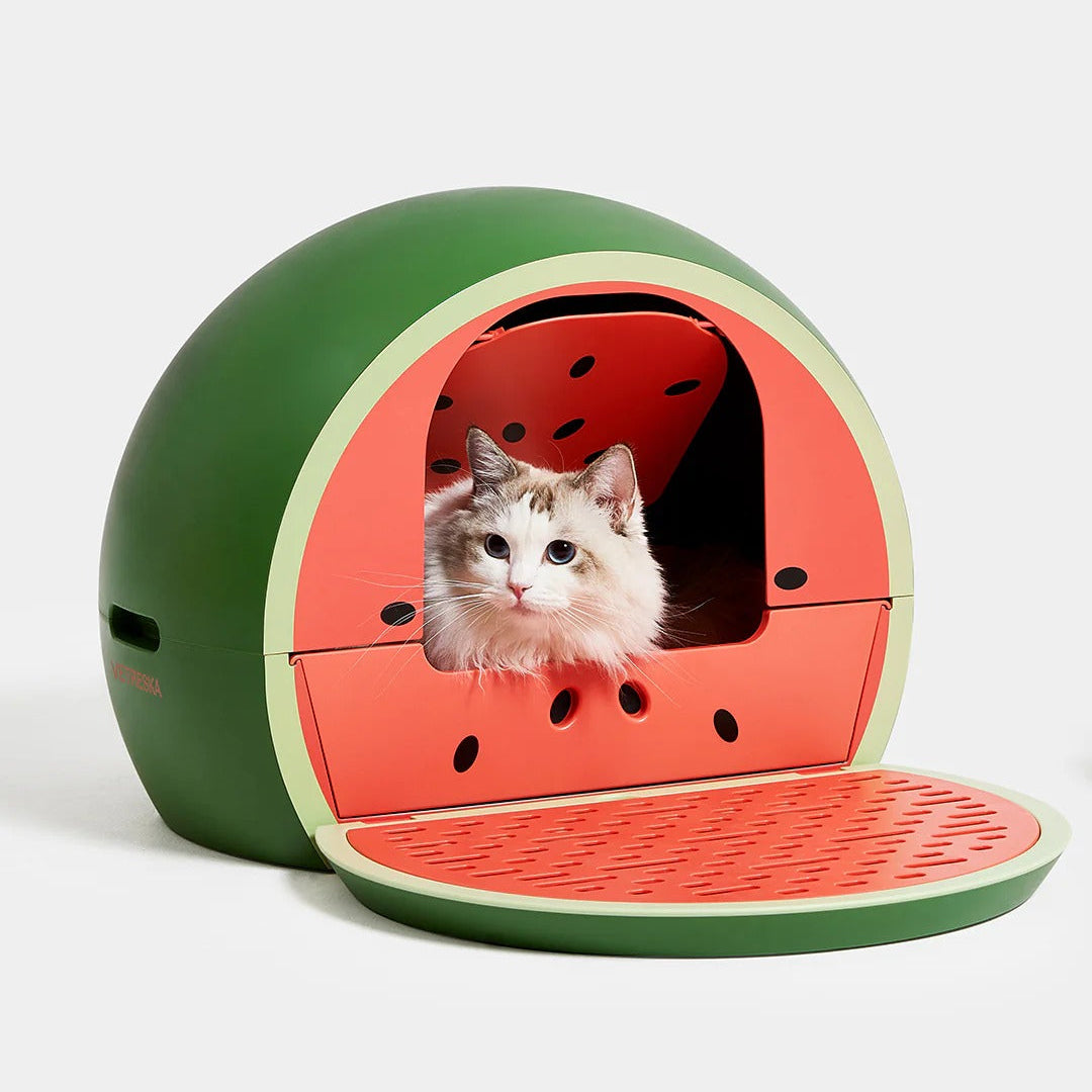 Watermelon Kitty Kove