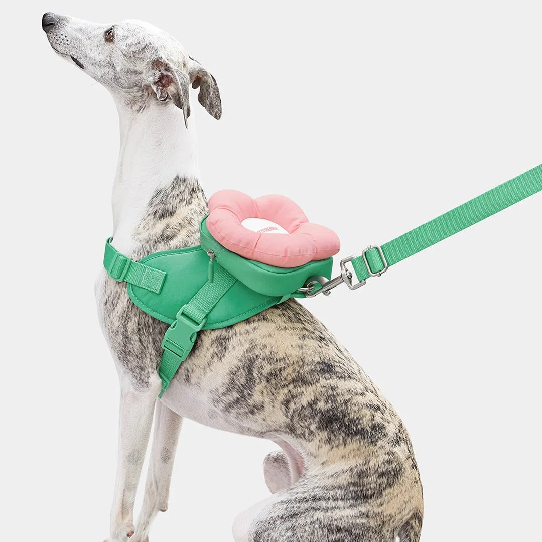 Flora Backpack & Harness 3 in 1 Set