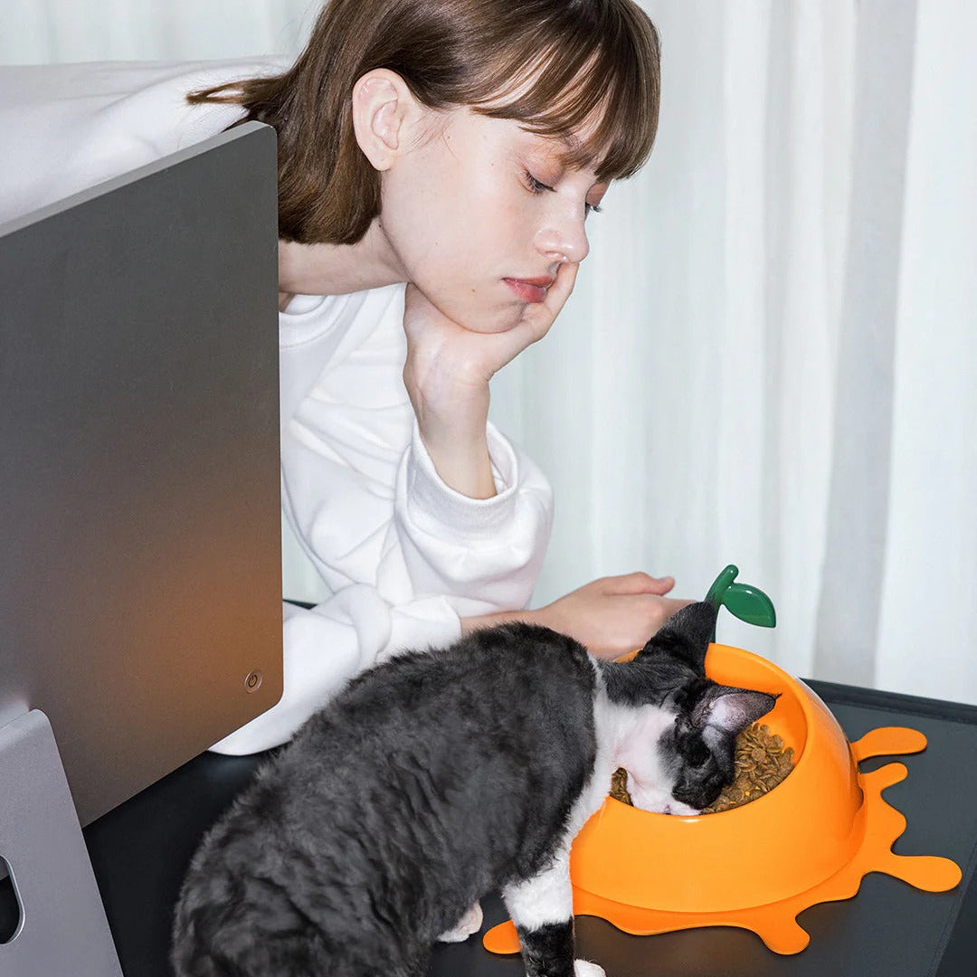 Juicy Tangerine Pet Bowl Spoon & Mat Set