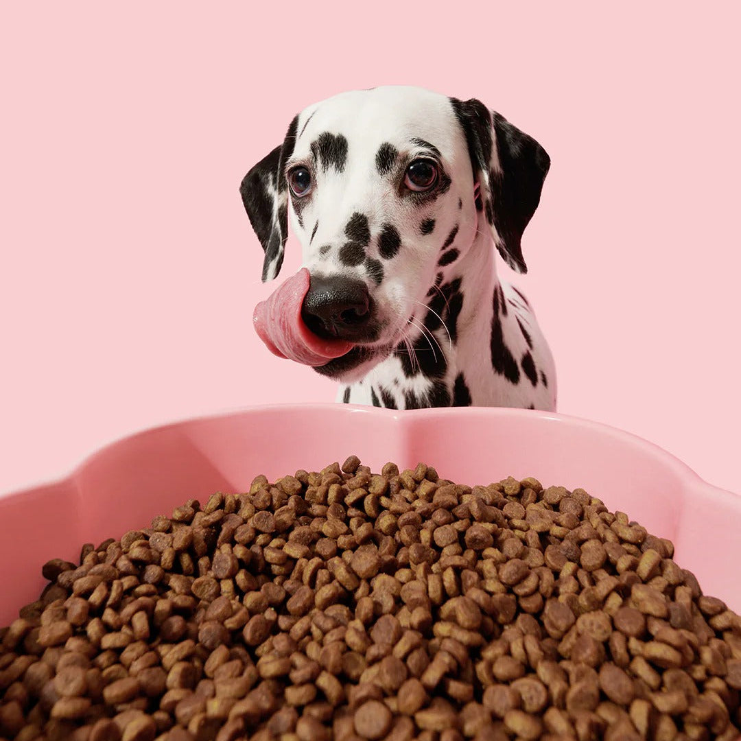 Flora Ceramic Pet Bowl