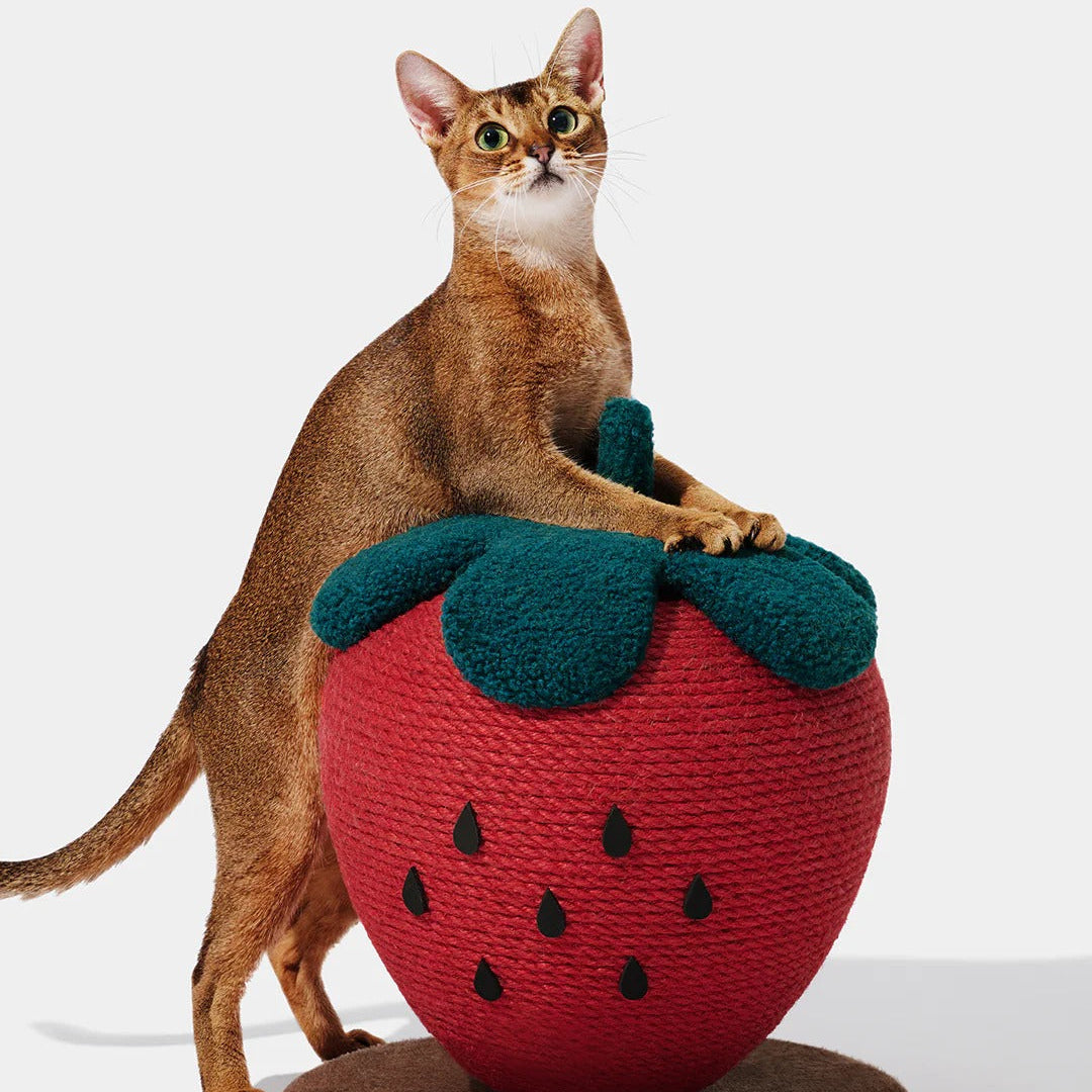 Strawberry Cat Scratching Ball