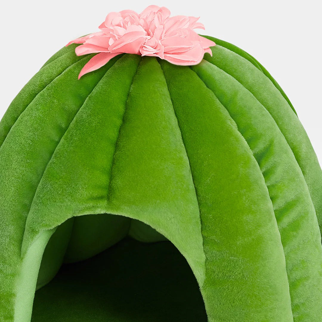 Oasis Cactus Pet Bed