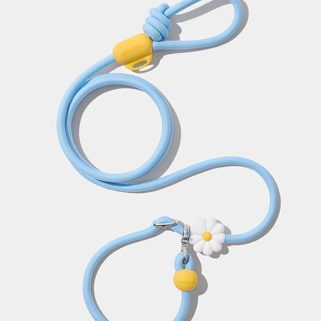 Connect Multifunction Hands-Free Rope Leash For Pets