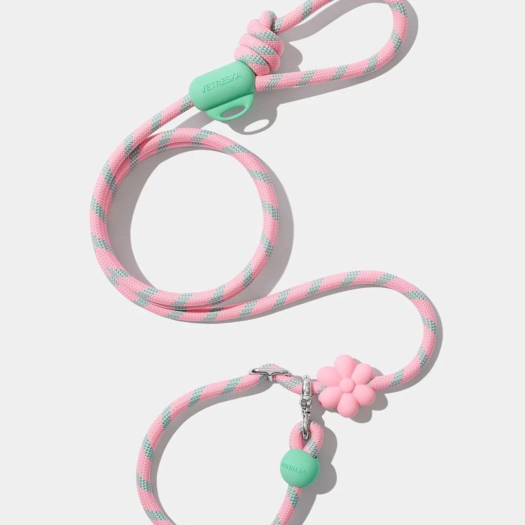 Connect Multifunction Hands-Free Rope Leash For Pets