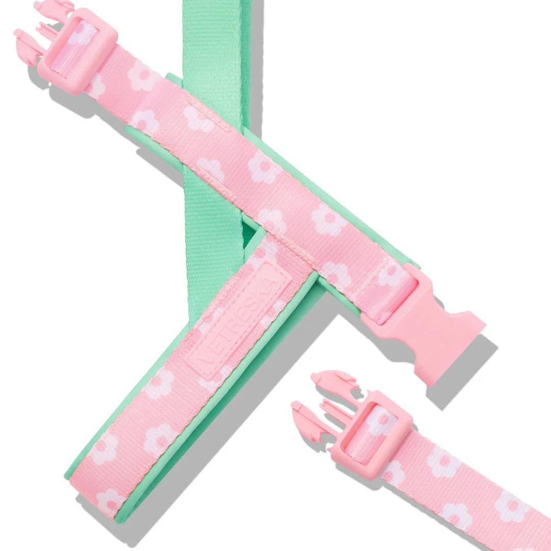 Flora Pet Harness & Leash Set