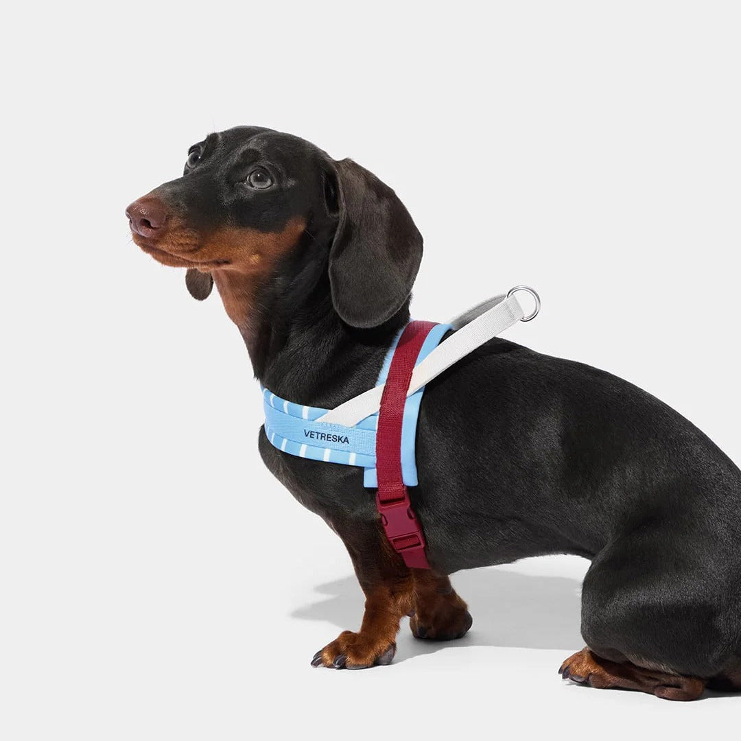 Mist and Merlot Pet Harness & Leash Set