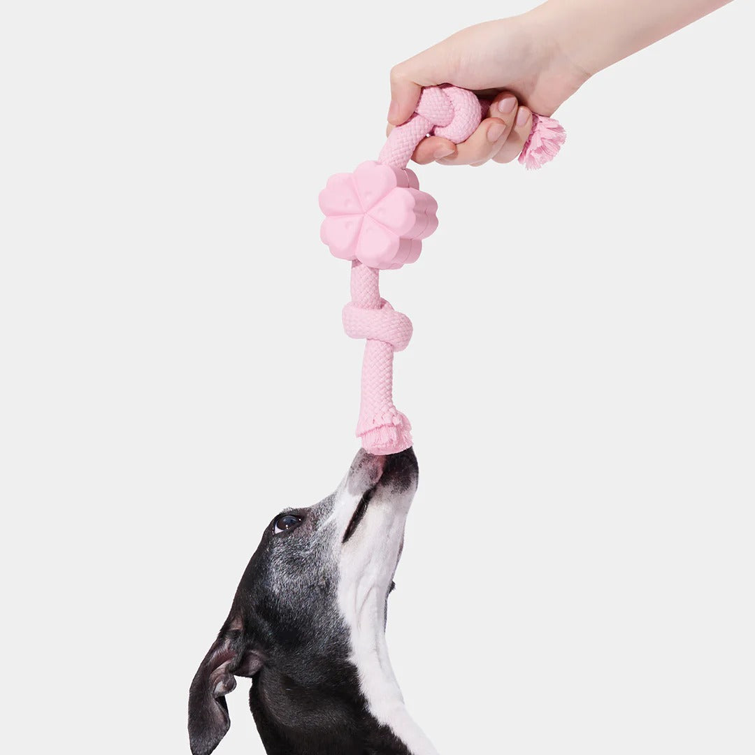 Playful Charm Knot Rope Toy