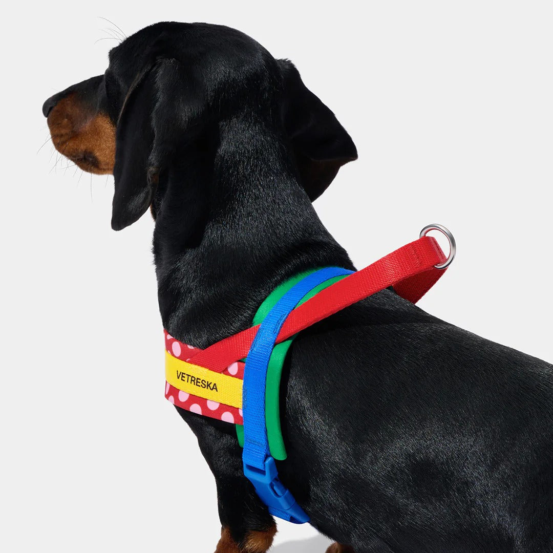 Chroma Pet Harness & Leash Set (Red)