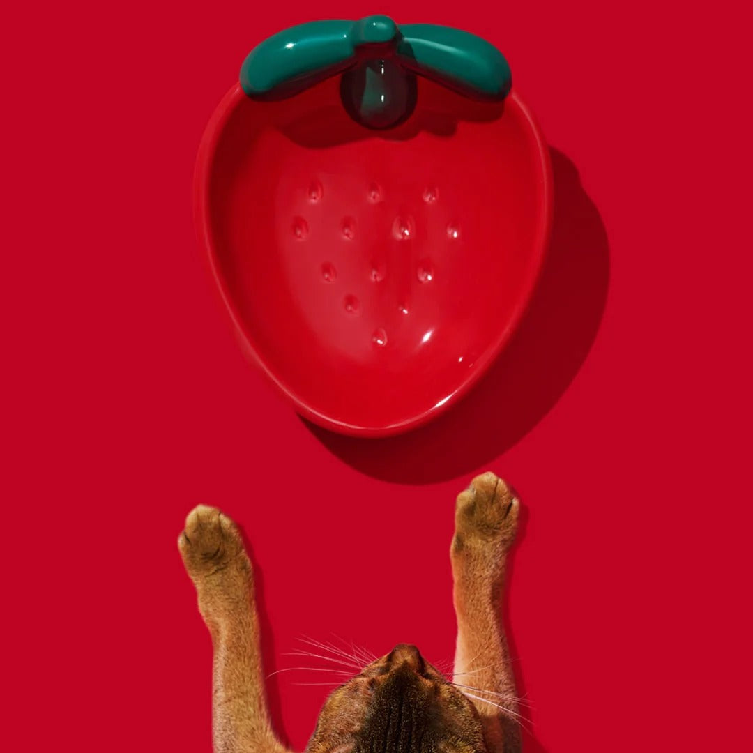 Strawberry Ceramic Pet Bowl