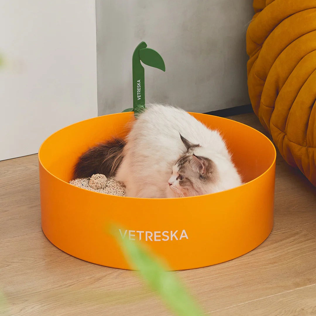 Tangerine Cat Litter Box