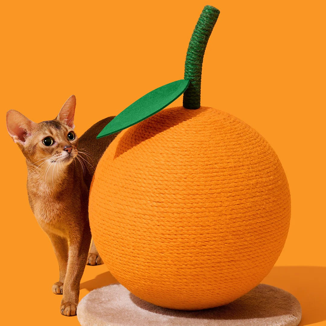 Tangerine Cat Scratching Ball