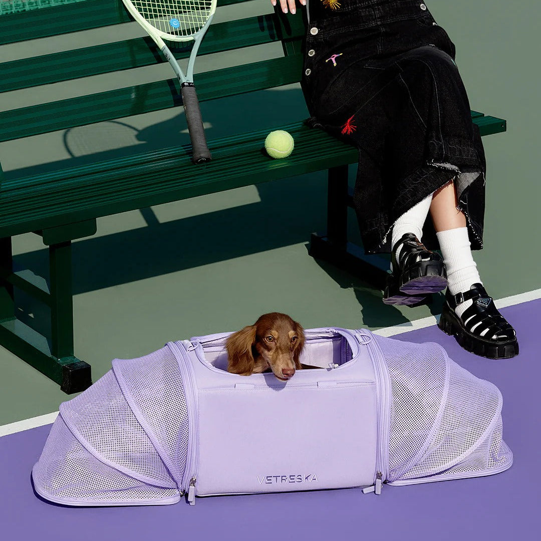 Violet Voyage Pet Carrier